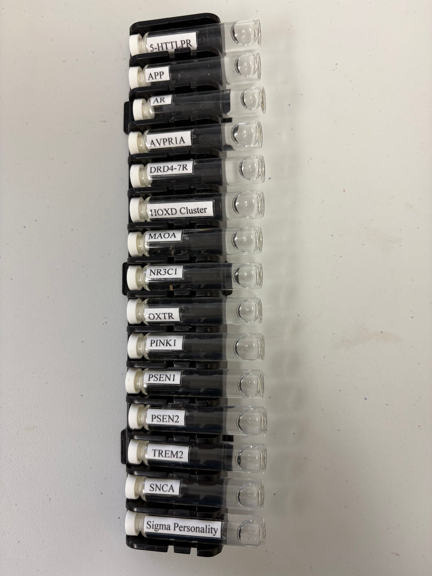 Brain Gene Pillar (Pre-Order)