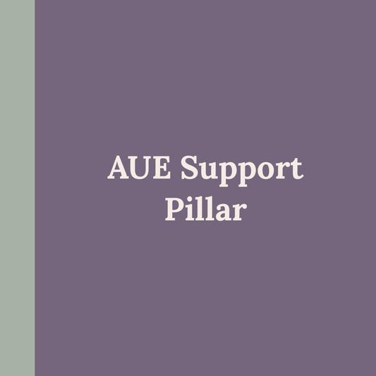 AUE Support Pillar