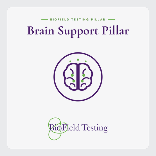 Brain Support Pillar
