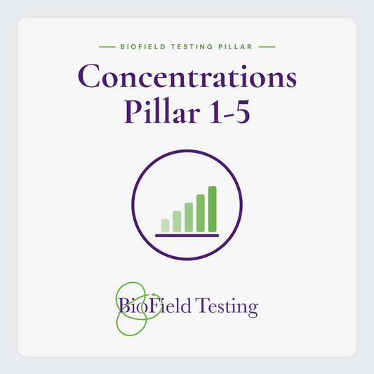 Concentrations Pillar 1-5
