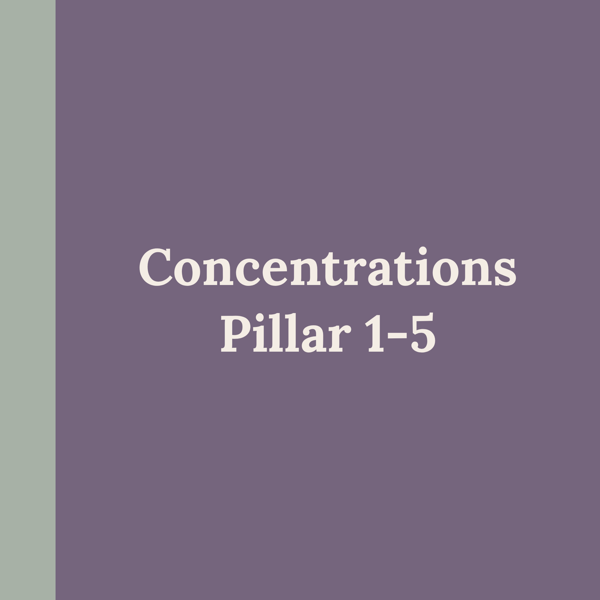 Concentrations Pillar 1-5