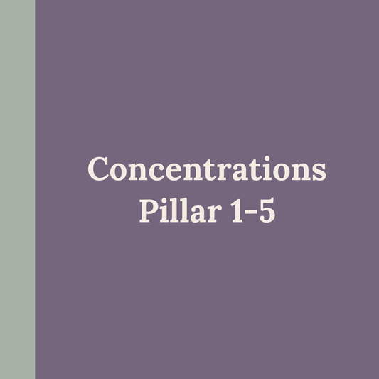 Concentrations Pillar 1-5