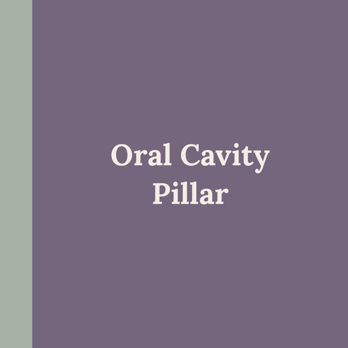 Oral Cavity Pillar