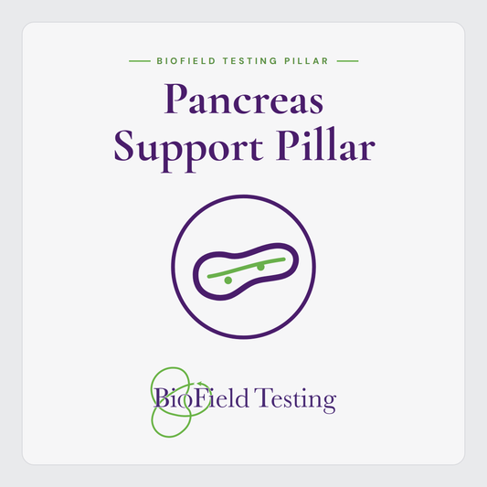 Pancreas Support Pillar