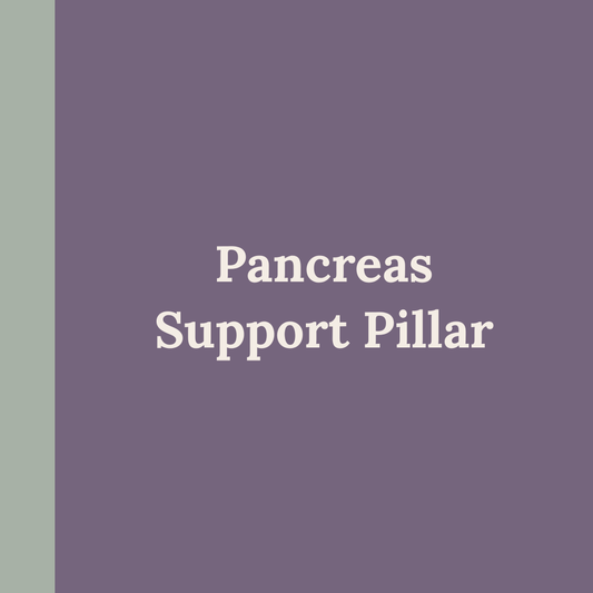 Pancreas Support Pillar